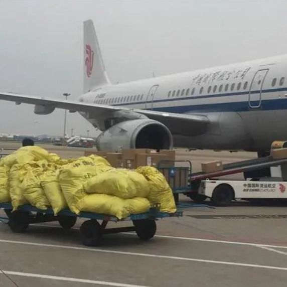 Navi di volo da Shanghai all'Australia Porta a porta L'agenzia marittima FCL aumenta il servizio DDP