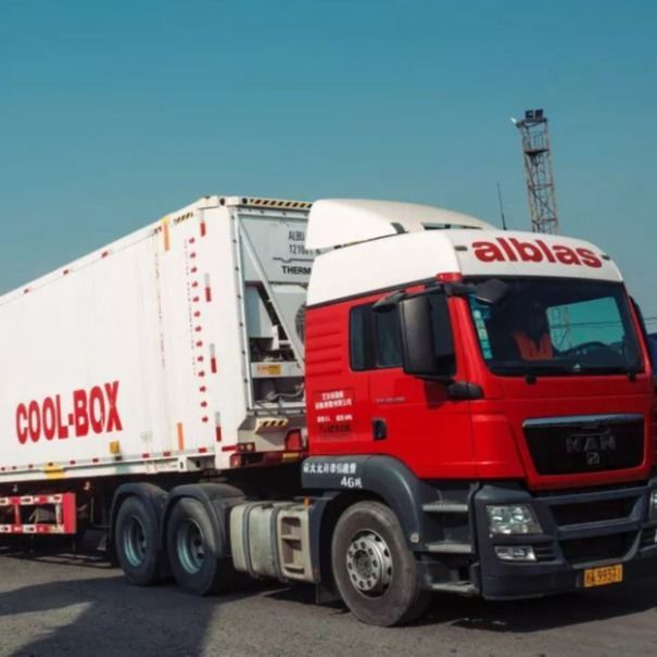Camion di spedizione del contenitore dalla Cina alla vendita di Europa Holland Belgium Oversize Cargo For