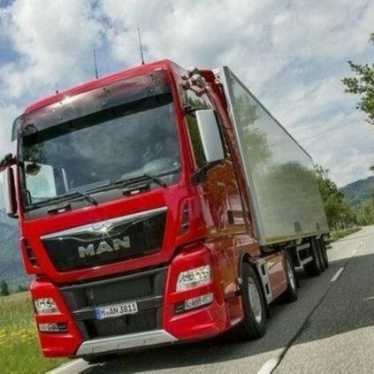 Camion di spedizione del contenitore dalla Cina alla vendita di Europa Holland Belgium Oversize Cargo For