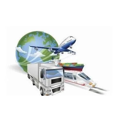 Servizio preciso del trasporto di logistica di Fedex dell'agenzia di spedizione internazionale di DDP dalla Cina a Nord America