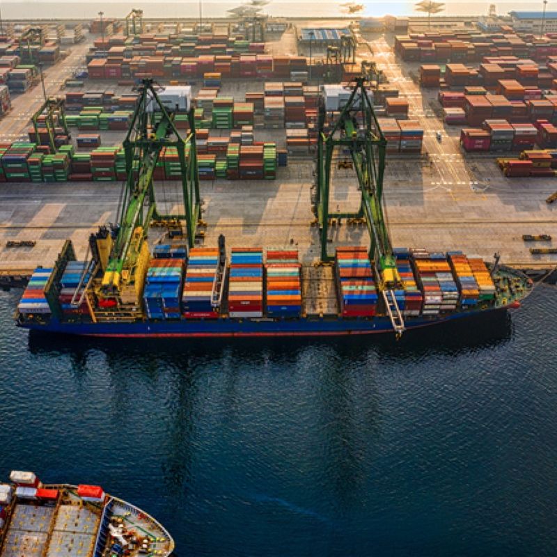2-3 giorno di Fedex 3 di giorno di giorno 3-5 che spedisce consegna precisa dalla Cina nel Messico
