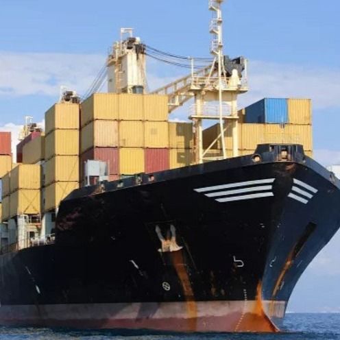 2-3 giorno di Fedex 3 di giorno di giorno 3-5 che spedisce consegna precisa dalla Cina nel Messico