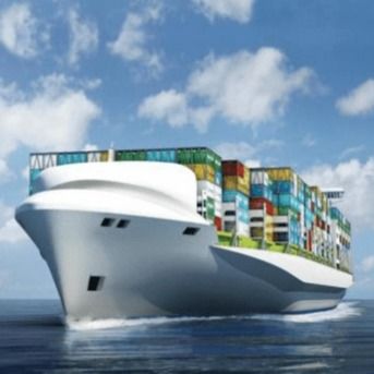 Spedizioniere internazionale di logistica del trasporto marittimo Spedizione di container LCL Fcl molto economica in Cina