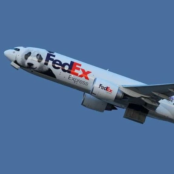Spedizione internazionale porta a porta all'estero UPS Air Freight FedEx da Shanghai in Cina a Israele