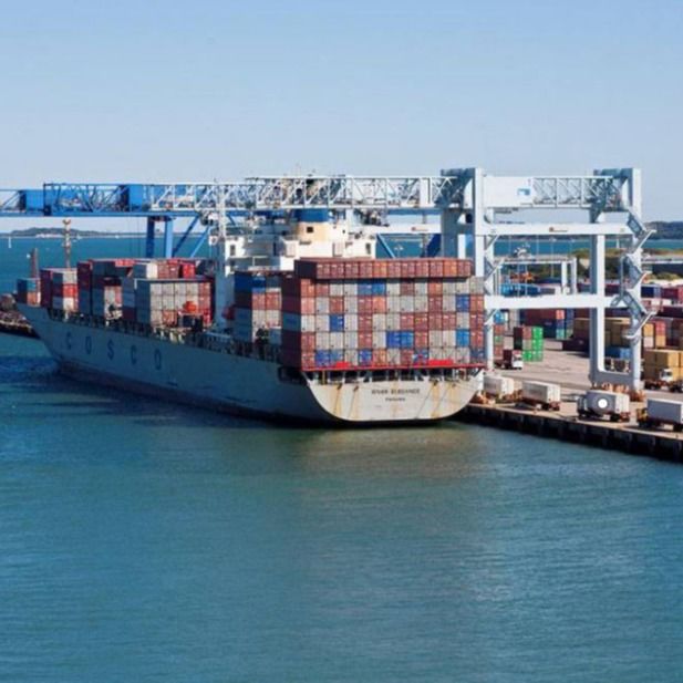 Sea Fcl e Lcl Full Container Load Trasporto marittimo dalla Cina agli Stati Uniti Europa