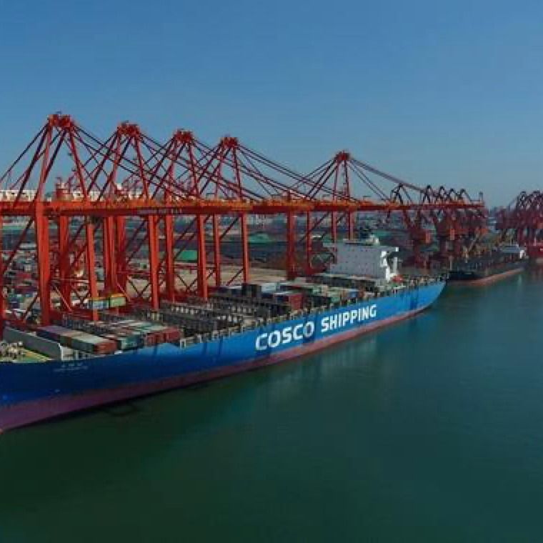 mare globale Cina della CATENA DELL'OROLOGIO LCL del centro del drop shipping 3c in Giordania spedizioniere di Exw di 3 giorni