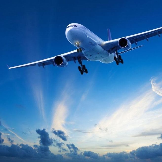 Internazionale di Shopify Dropshipping dalla Cina all'aereo da trasporto del contenitore dello spedizioniere 20GP 40GP del contenitore della Francia