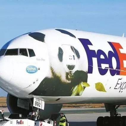 La consegna PRECISA in Francia aumenta il trasporto internazionale di porta in porta di DHL Fedex