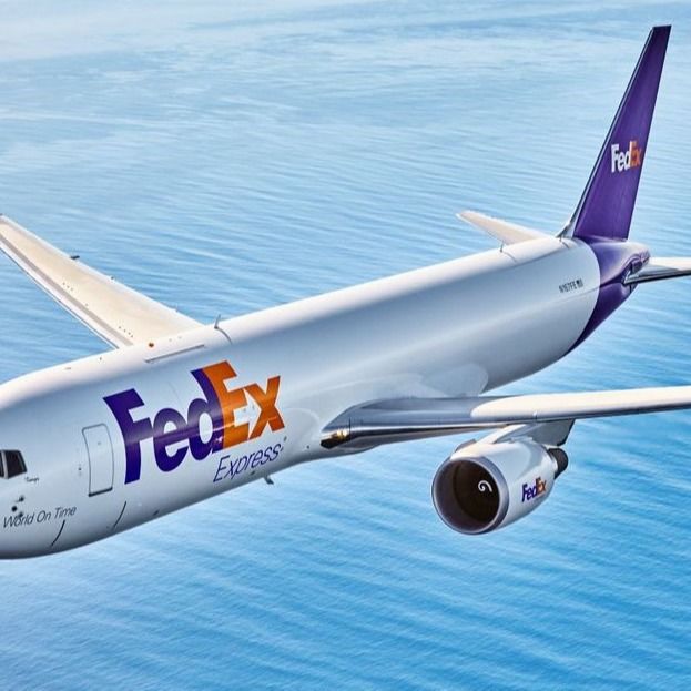 Trasporto dell'internazionale di Fedex DHL che trasmette i servizi dell'importazione dell'esportazione dalla Cina in Nuova Zelanda