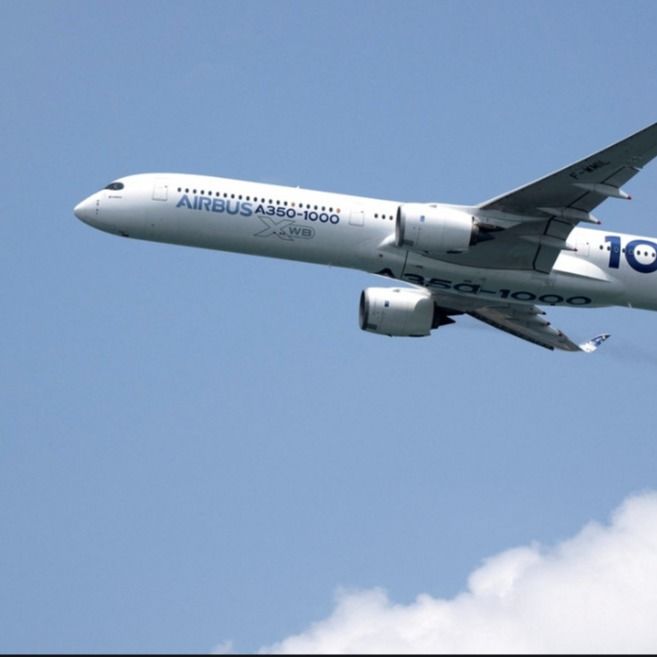 Trasporto di servizio della spedizione del mare di FBA Fcl della CATENA DELL'OROLOGIO dalla Cina all'agente BRITANNICO Transport Carrier delle merci aviotrasportate della Germania