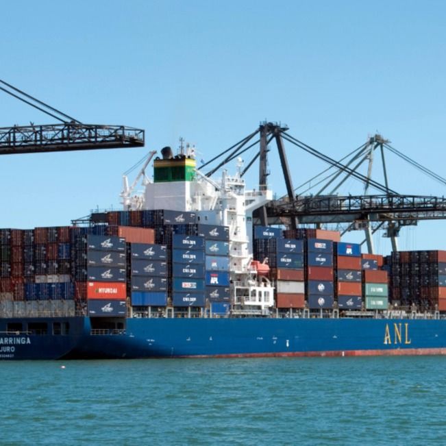 20gp trasporti via mare economici Lcl e Fcl che spediscono dalla Cina alla CATENA DELL'OROLOGIO EXW DDP di U.S.A. UE Australia